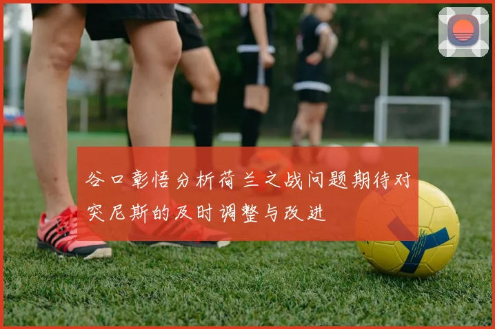 谷口彰悟分析荷兰之战问题期待对突尼斯的及时调整与改进