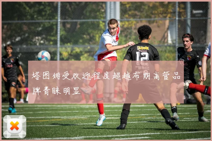 塔图姆受欢迎程度超越布朗高管品牌青睐明显